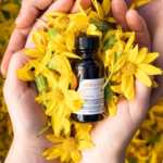 Arnica Oil