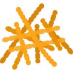 Lactobacillus Fermentum